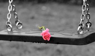 pink-rose-on-empty-swing-3656894_1280.jpg